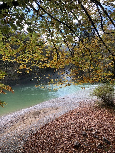 Image de Alexis