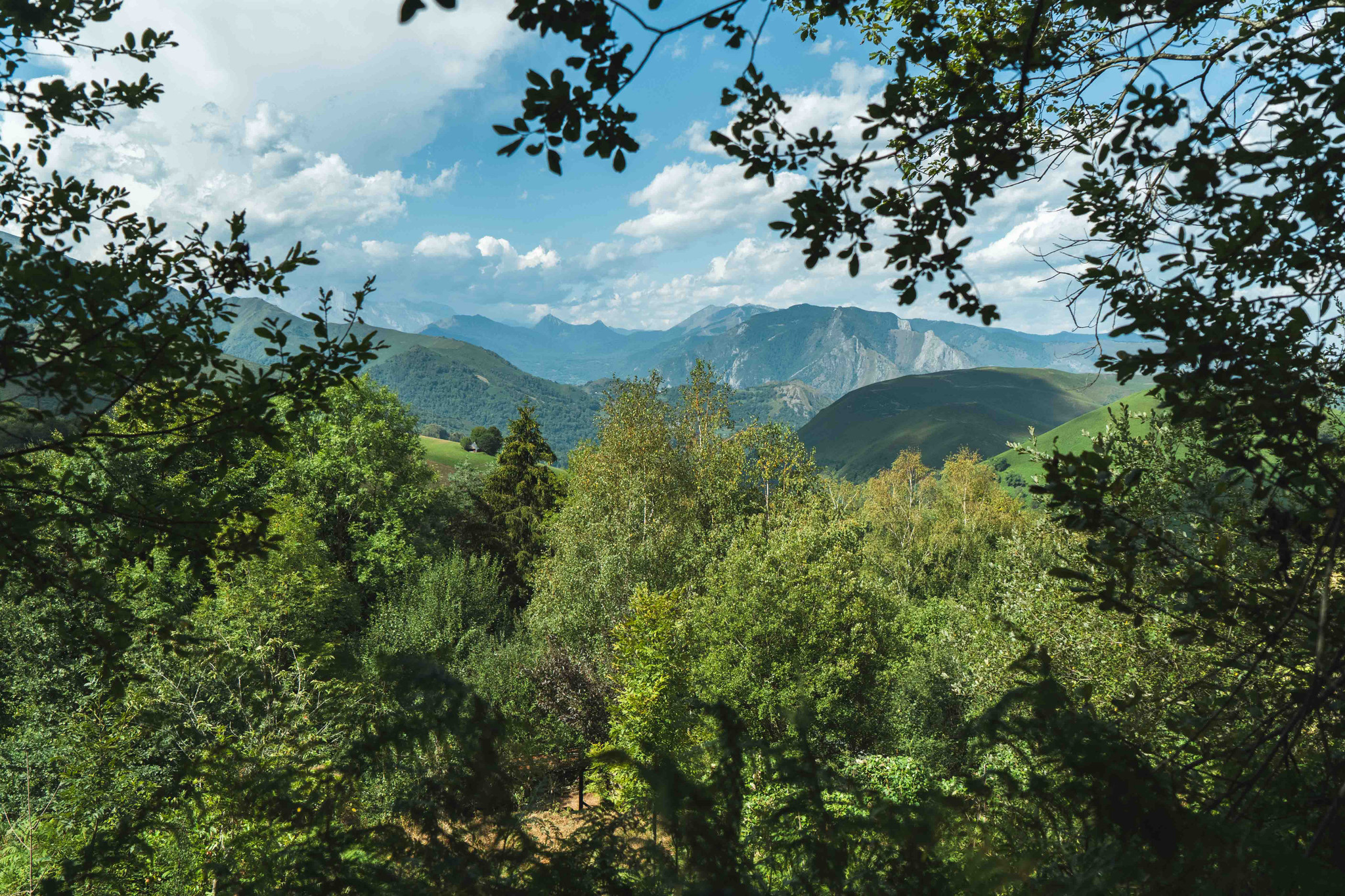 Hôte GreenGo: Escale du Cardouets
