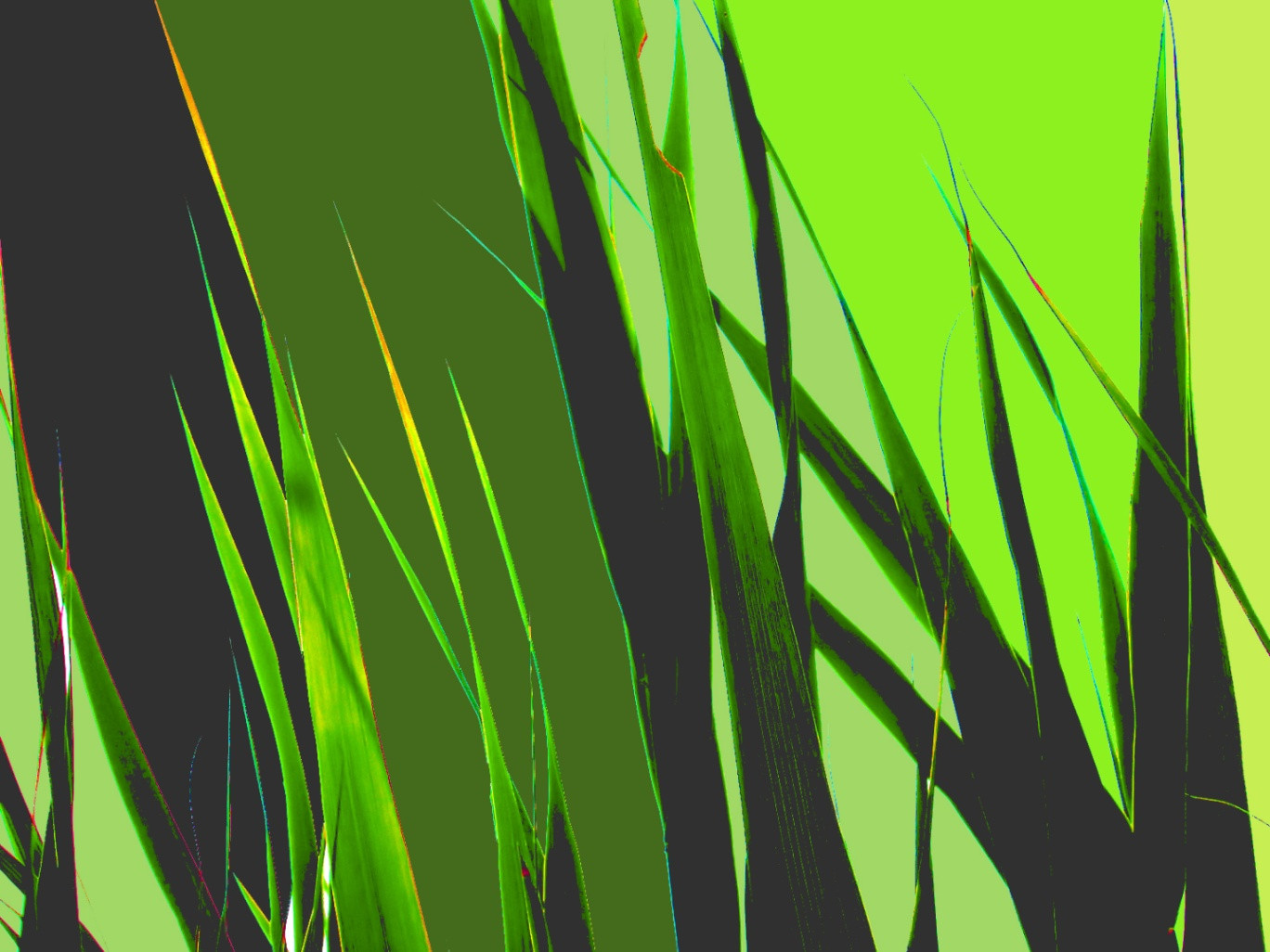 Hôte GreenGo: Hélène