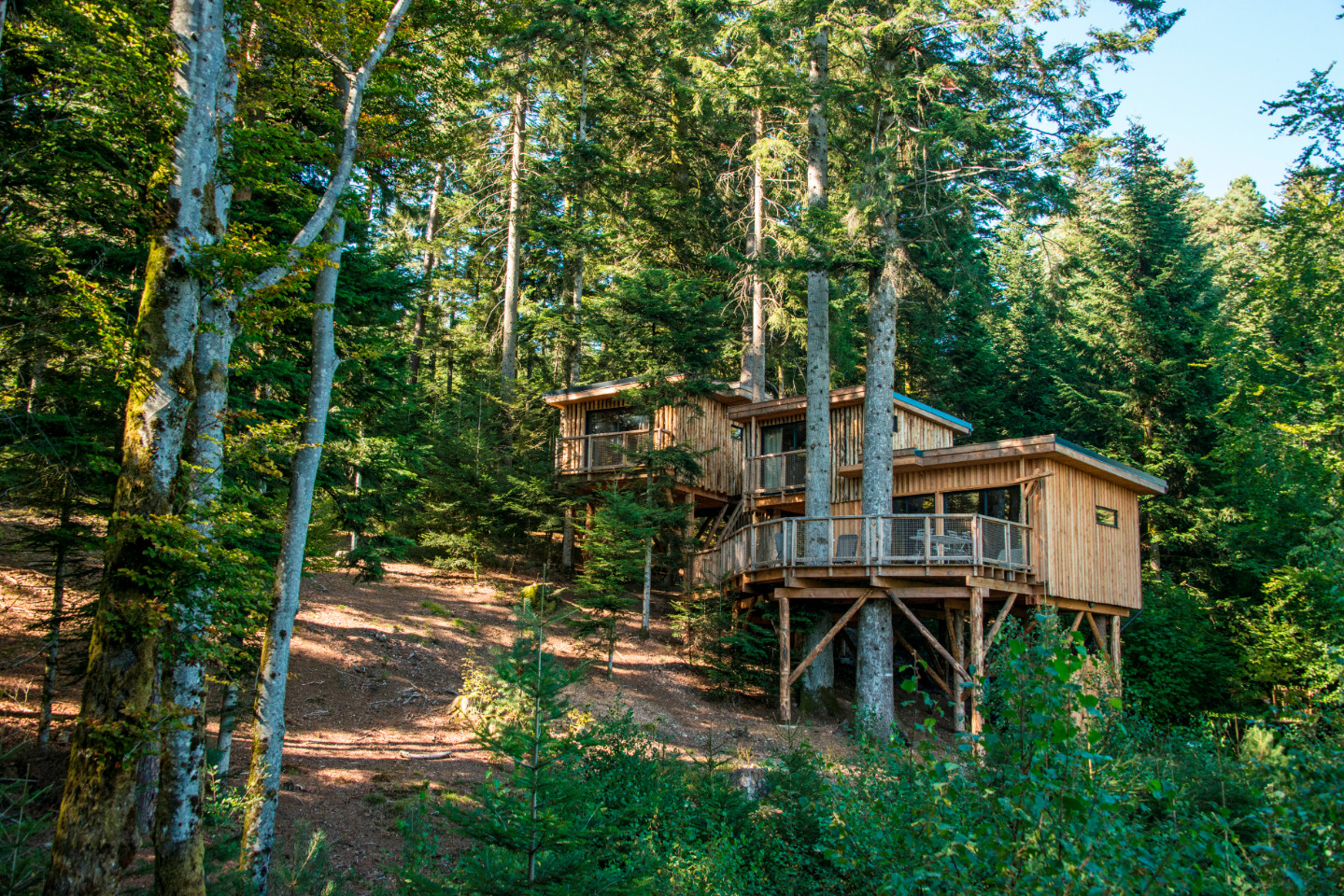 Hôte GreenGo: Cabanes Nids des Vosges