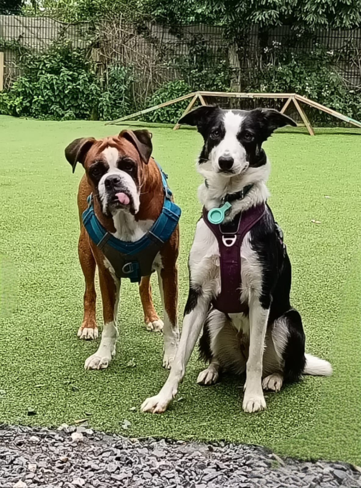 Hôte GreenGo: Sophie
