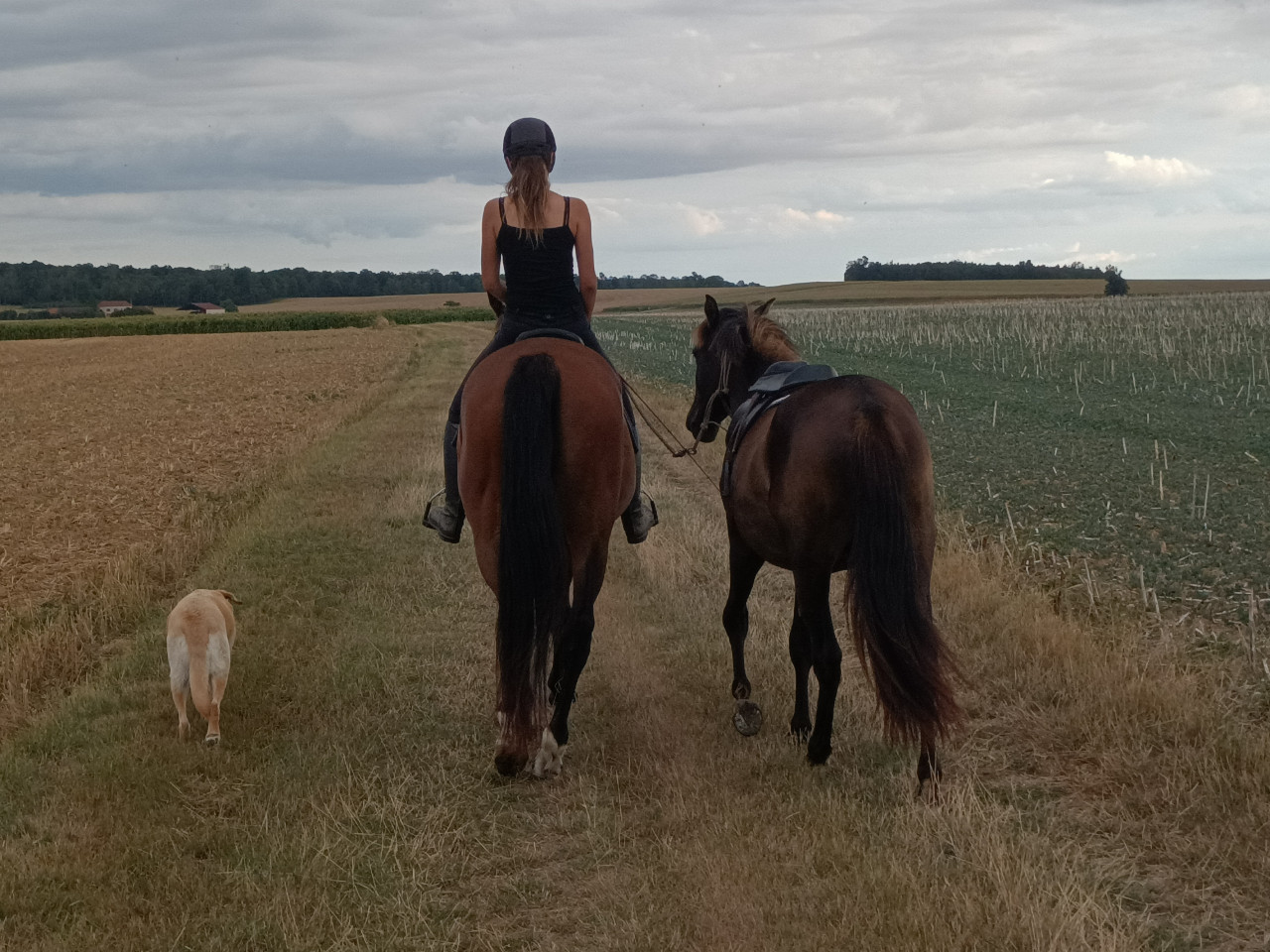 Hôte GreenGo: Johanna