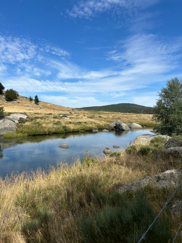 Hôte GreenGo: La Tchourette