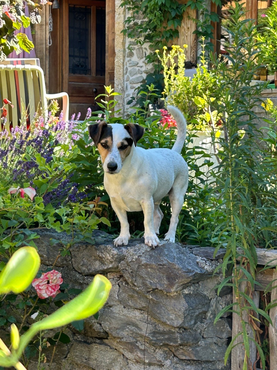 Hôte GreenGo: Dorine