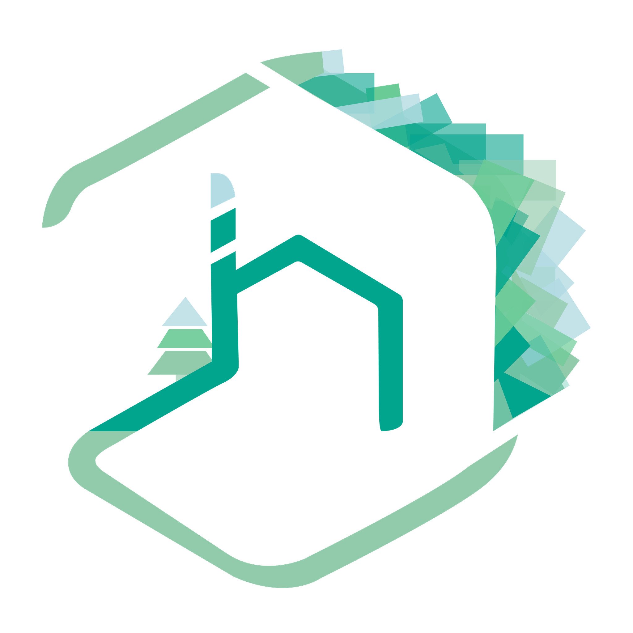 Hôte GreenGo: Homnest