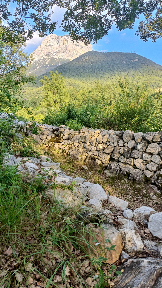 Hôte GreenGo: Marie-Caroline