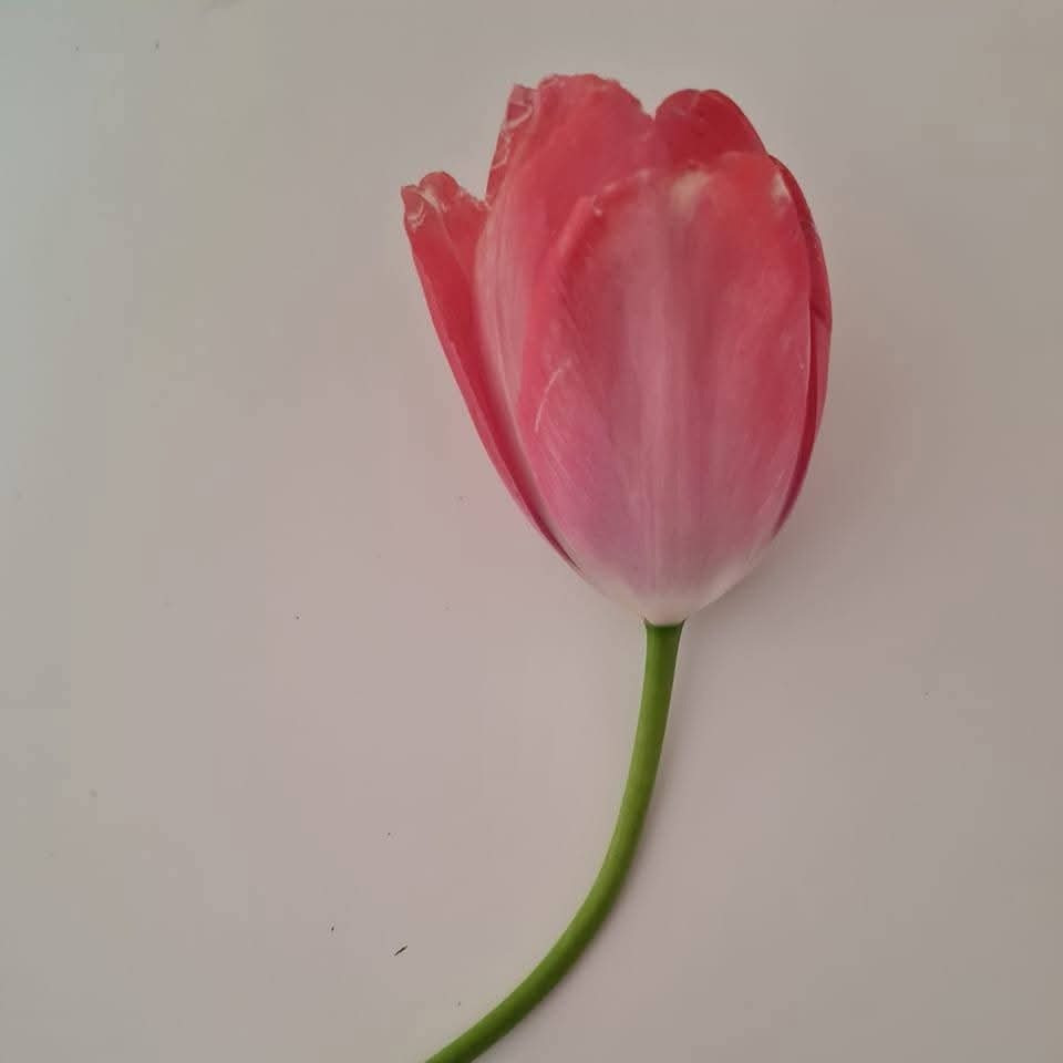 Hôte GreenGo: Le Jardin Aroma