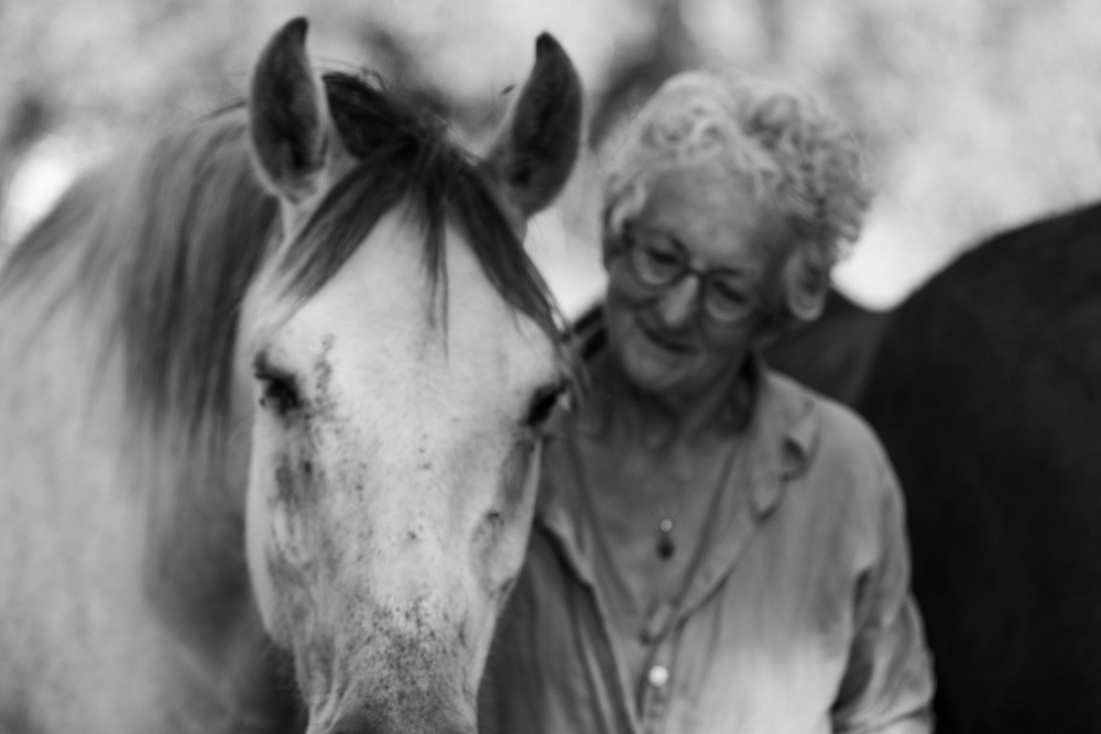 Hôte GreenGo: Françoise et Michel ont mis en commun leur passion respective le cheval et le végétal