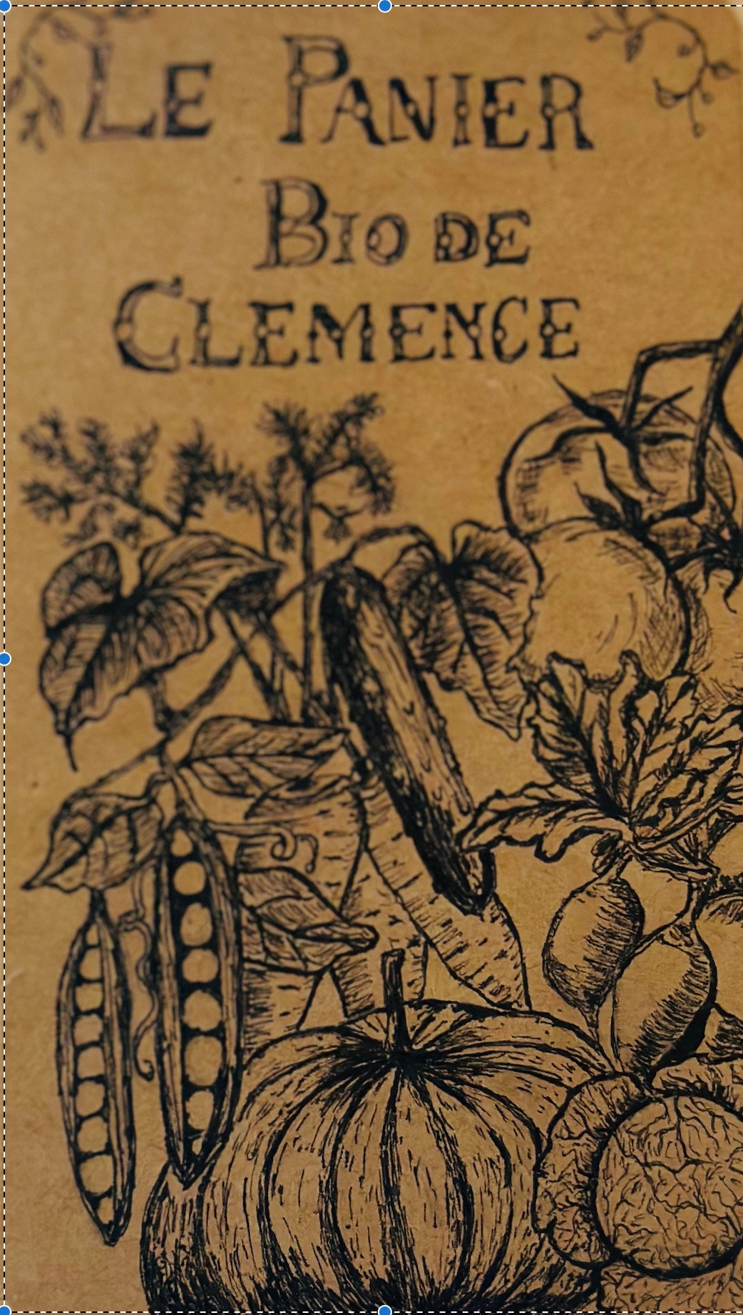 Image de Clémence