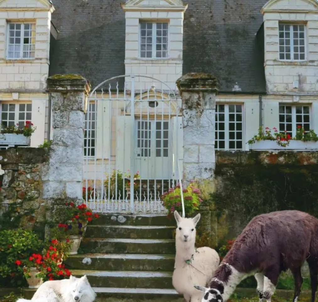Image de Denis