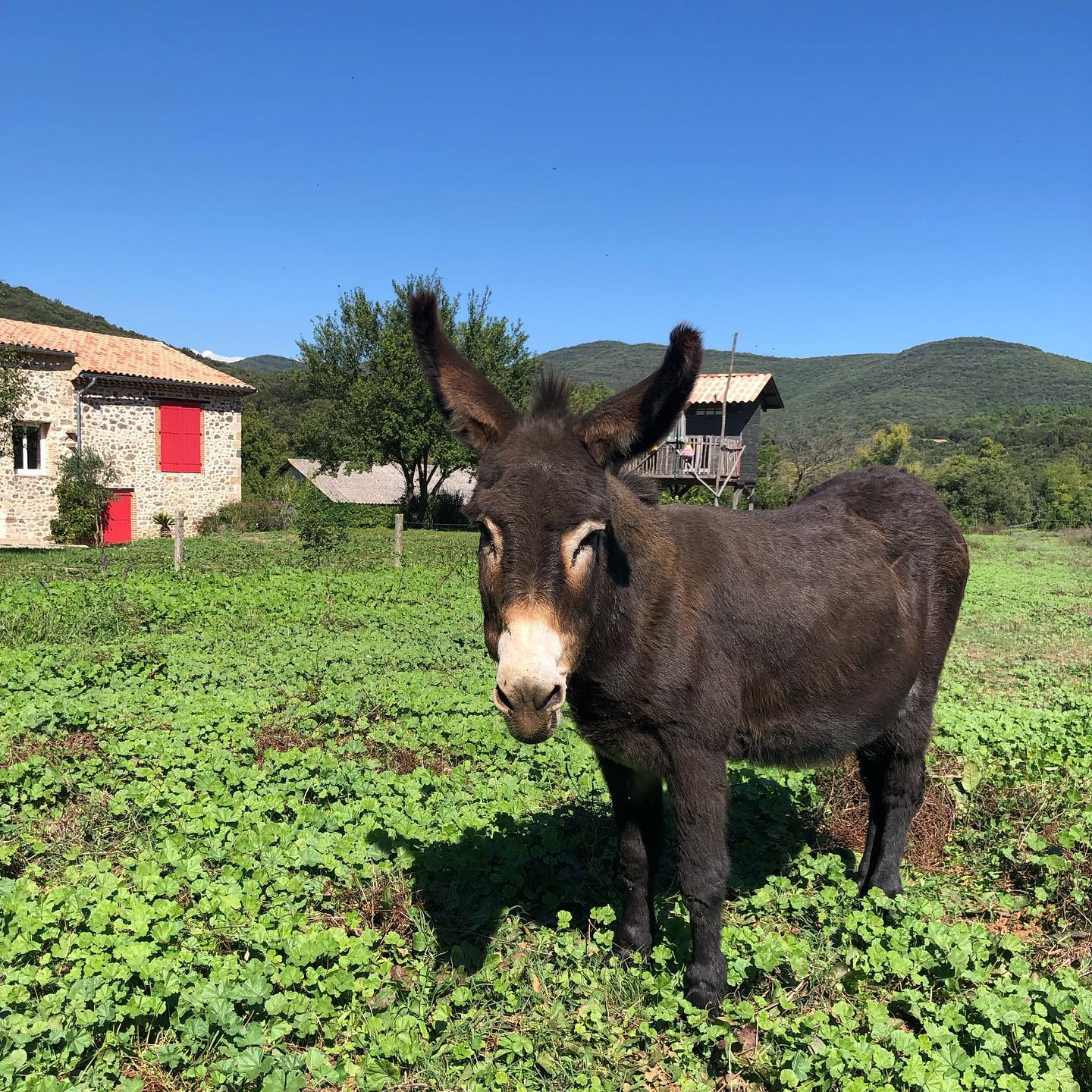 Hôte GreenGo: Nicolas