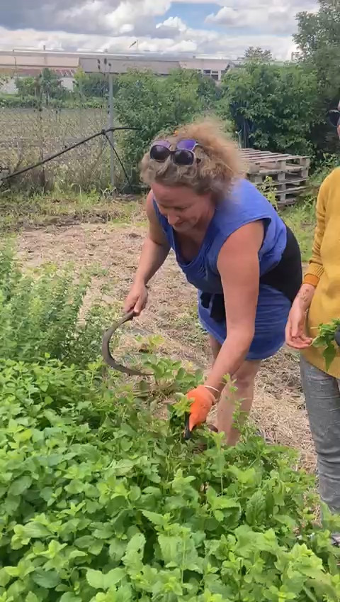 Hôte GreenGo: Sidonie