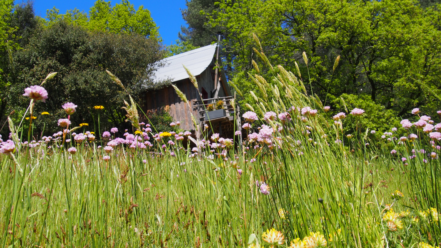 GreenGo Gîte Auvergne-Rhône-Alpes Évasion