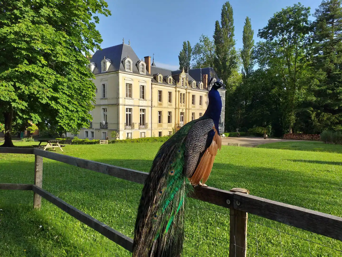 Le petit gîte à la ferme