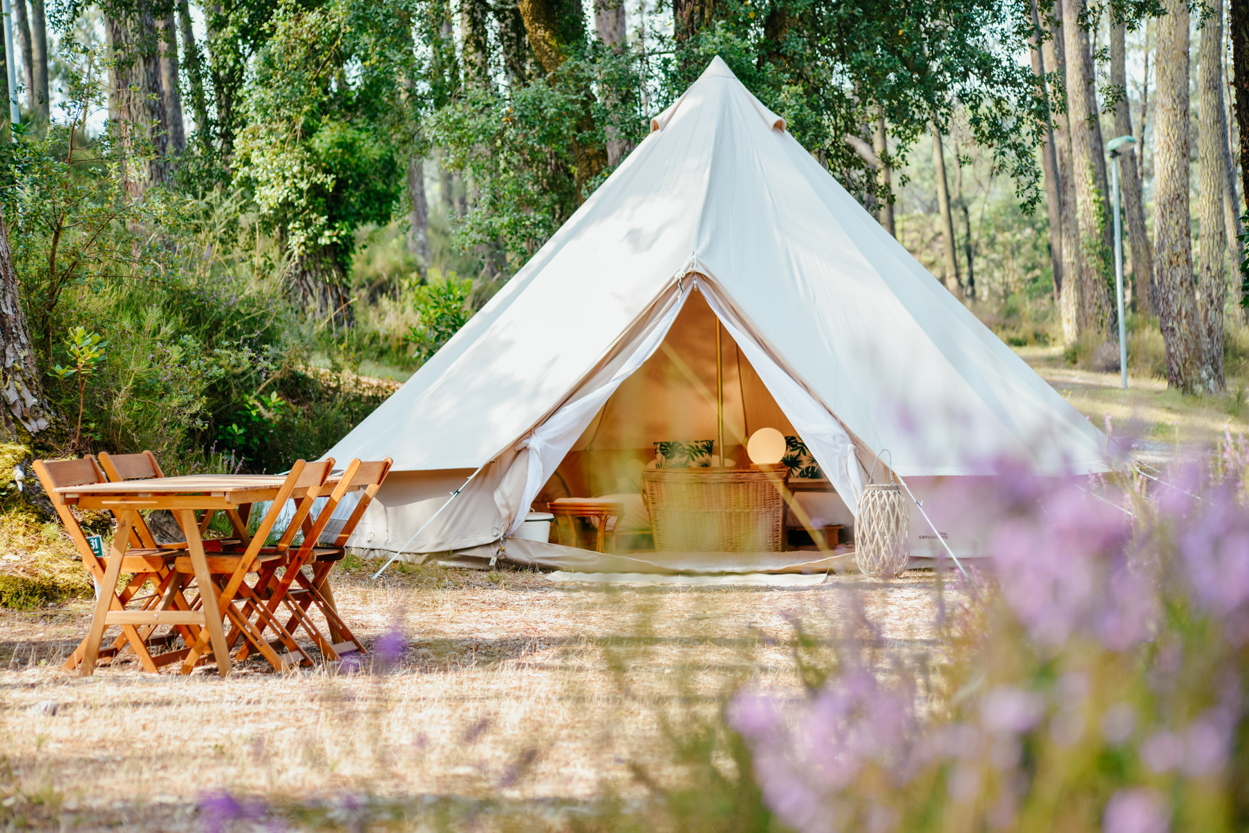 Hôte GreenGo: Cocooning Tipi - Seignosse