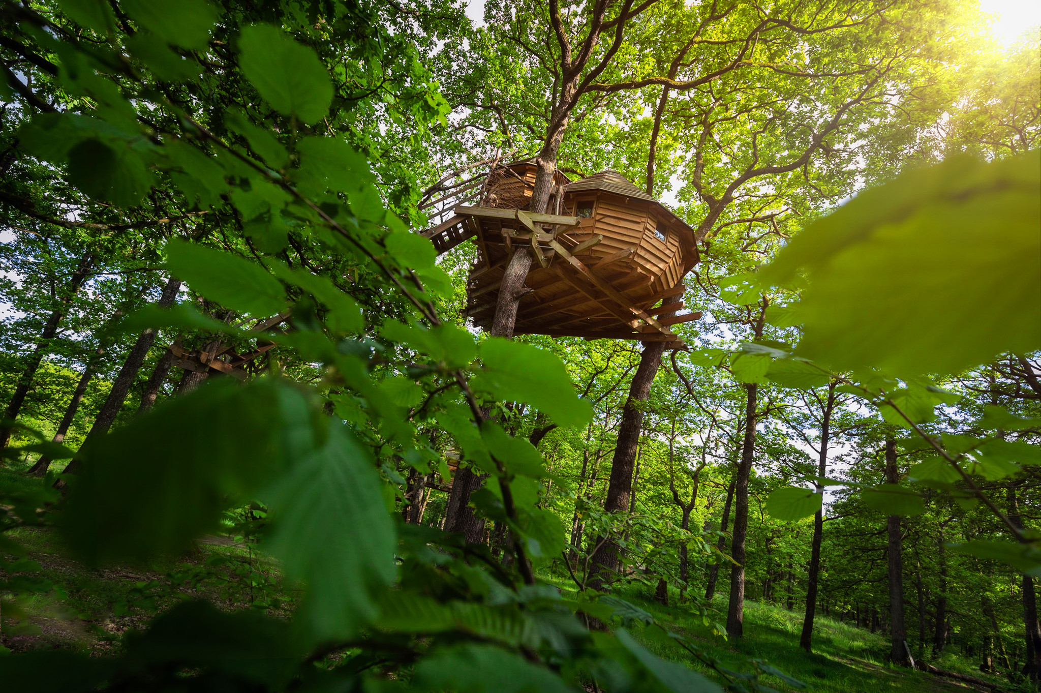 Hôte GreenGo: Vit Tel Ta Nature
