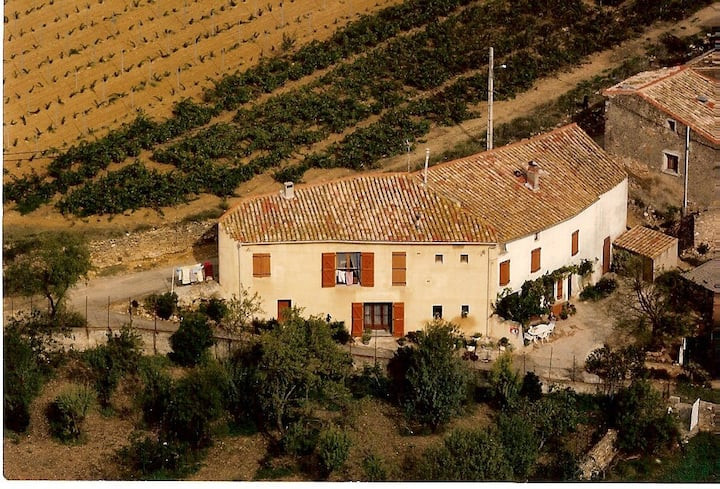 La Maison des Oliviers