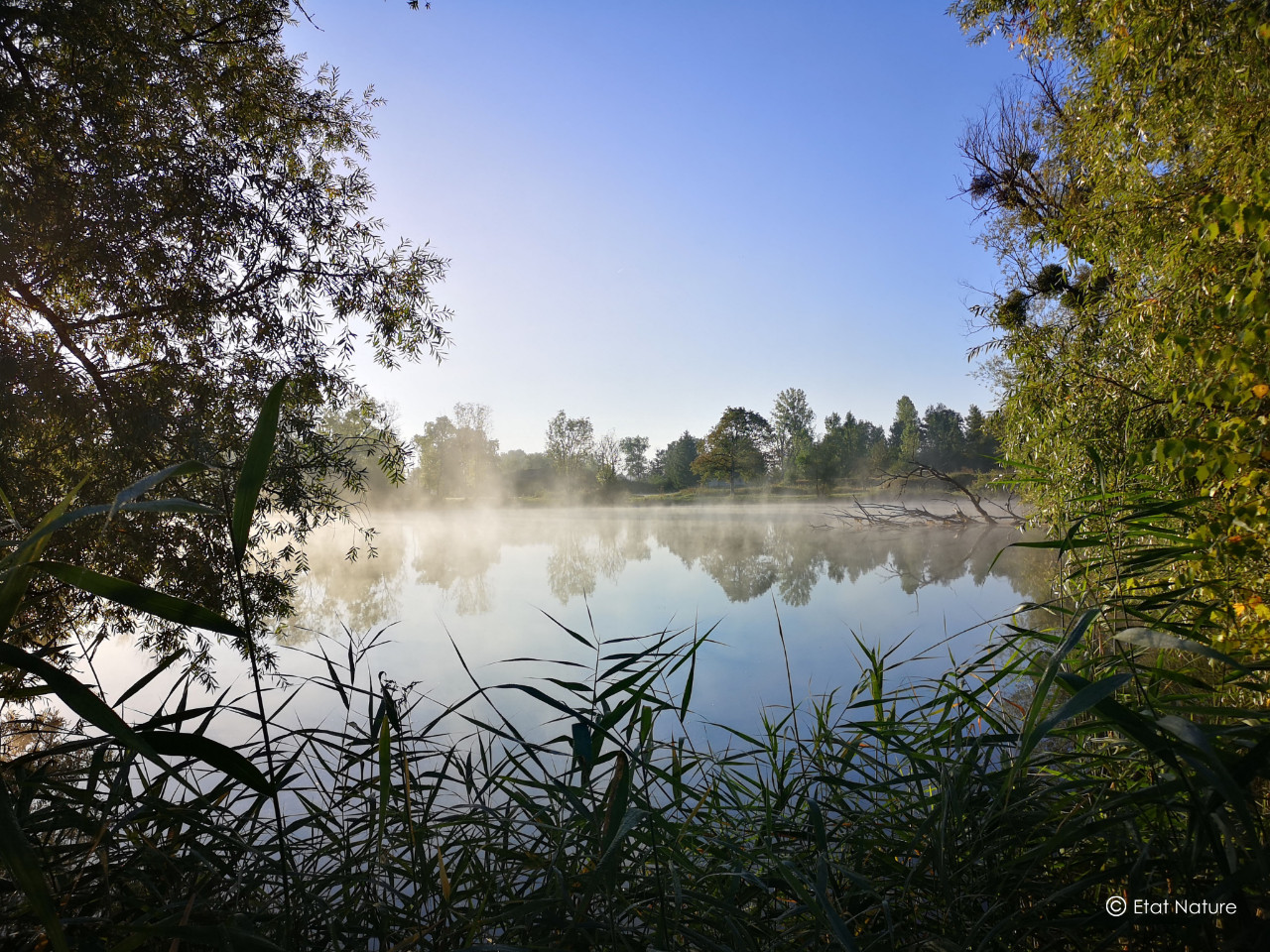 Hôte GreenGo: Etat Nature