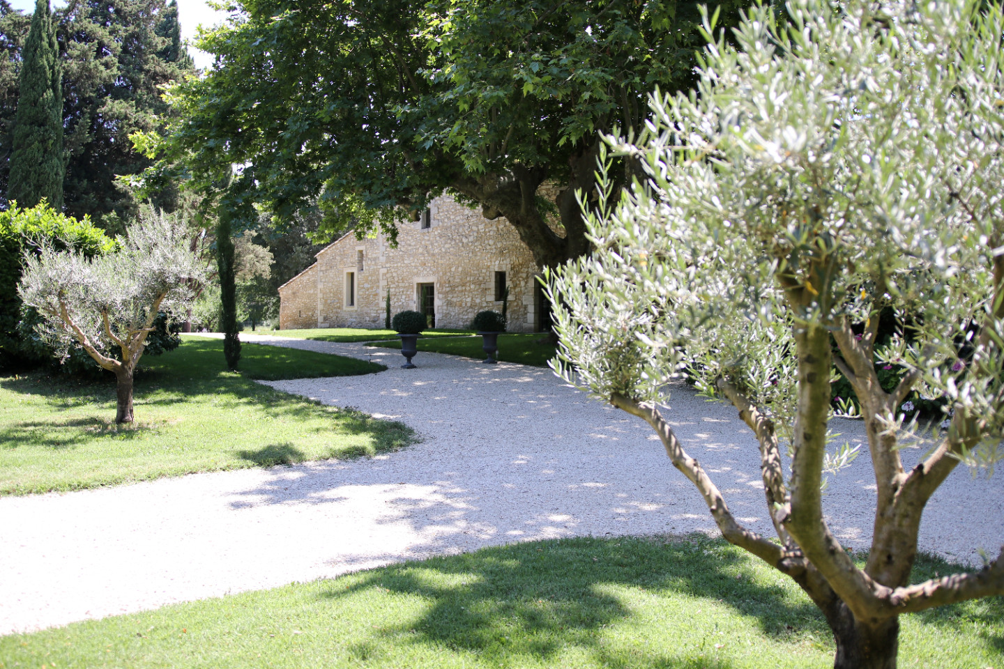Hôte GreenGo: Mas Chateau Blanc