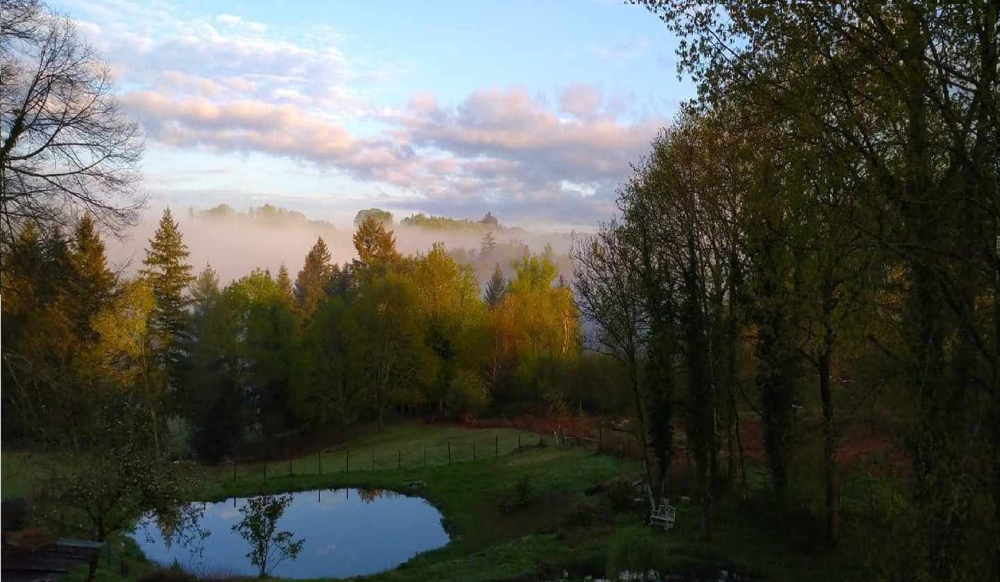 Les Cabanes des Landes