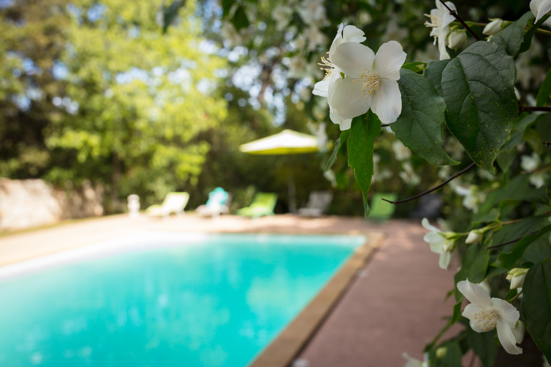 GreenGo Le Mas des Sages B&b et gîte avec piscine