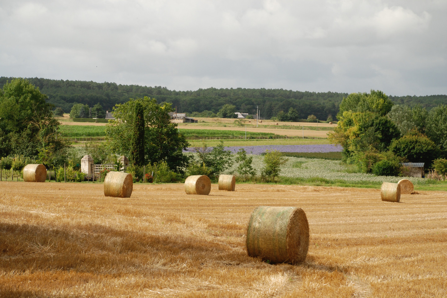 GreenGo location vacances écoresponsables