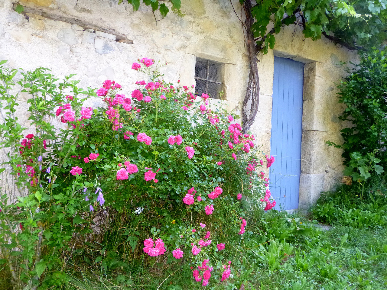 Chambre dans maison en pleine nature