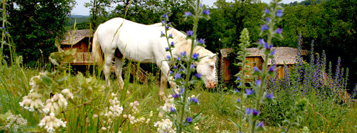 GreenGo Domaine Périgord Vacances