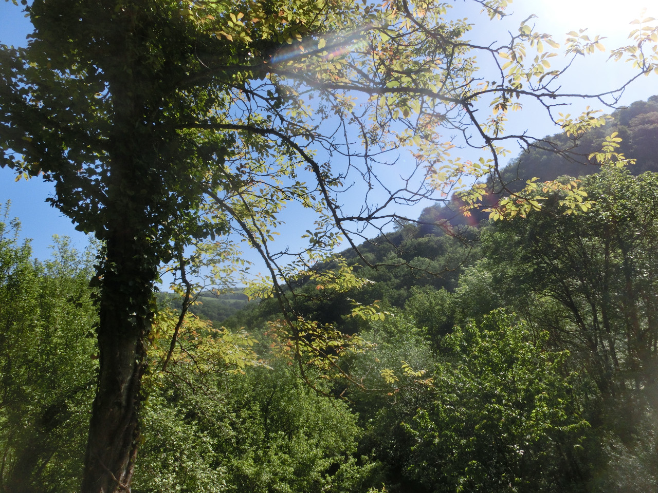 GreenGo Gîte Occitanie Évasion