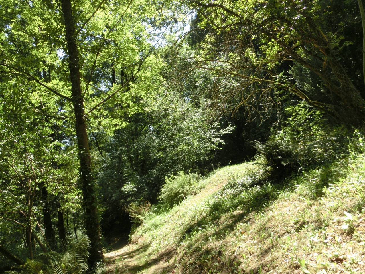 GreenGo location vacances écoresponsables