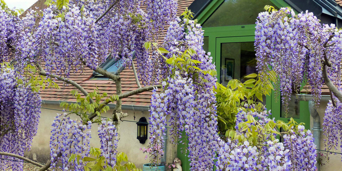 GreenGo Gîte Centre-Val de Loire Évasion