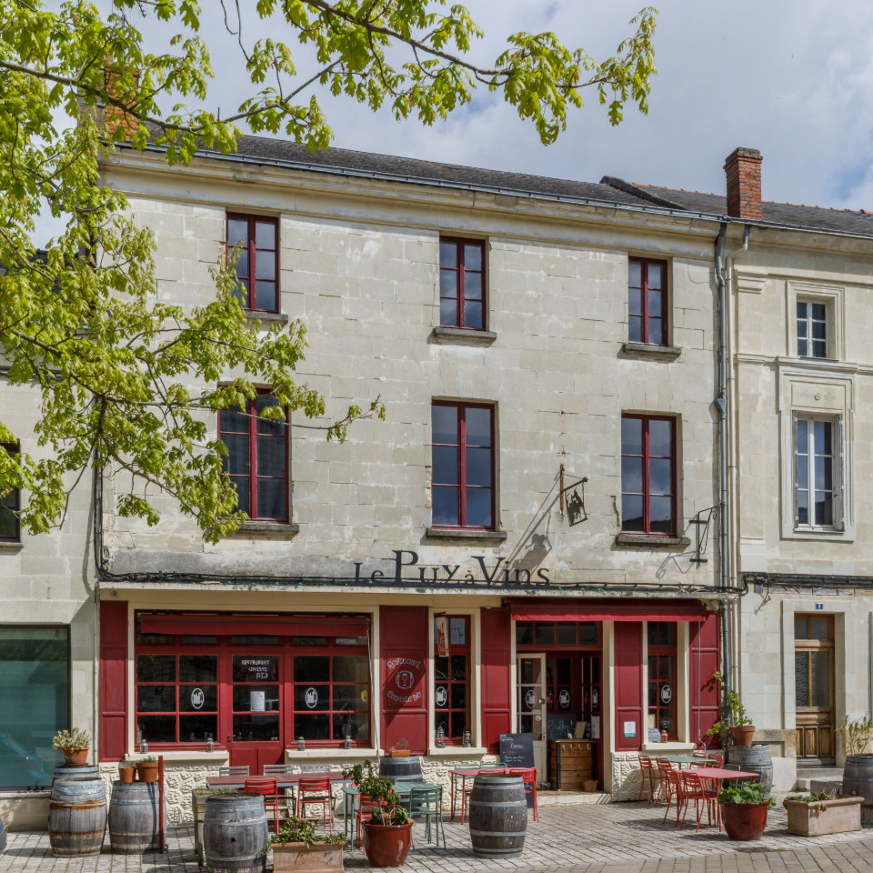 Le Puy à Vins