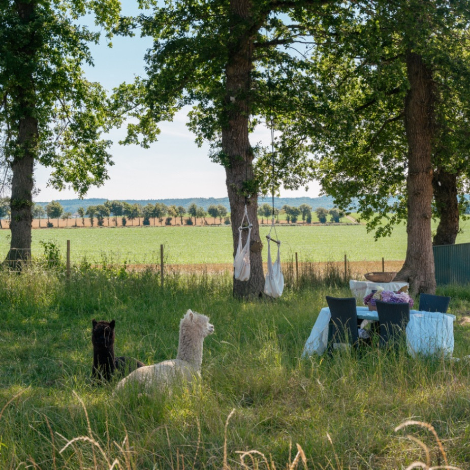 GreenGo location vacances écoresponsables