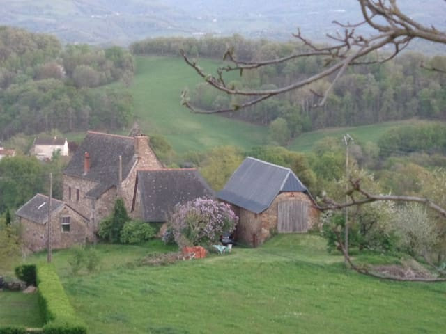 Une Sorcière sur le toit