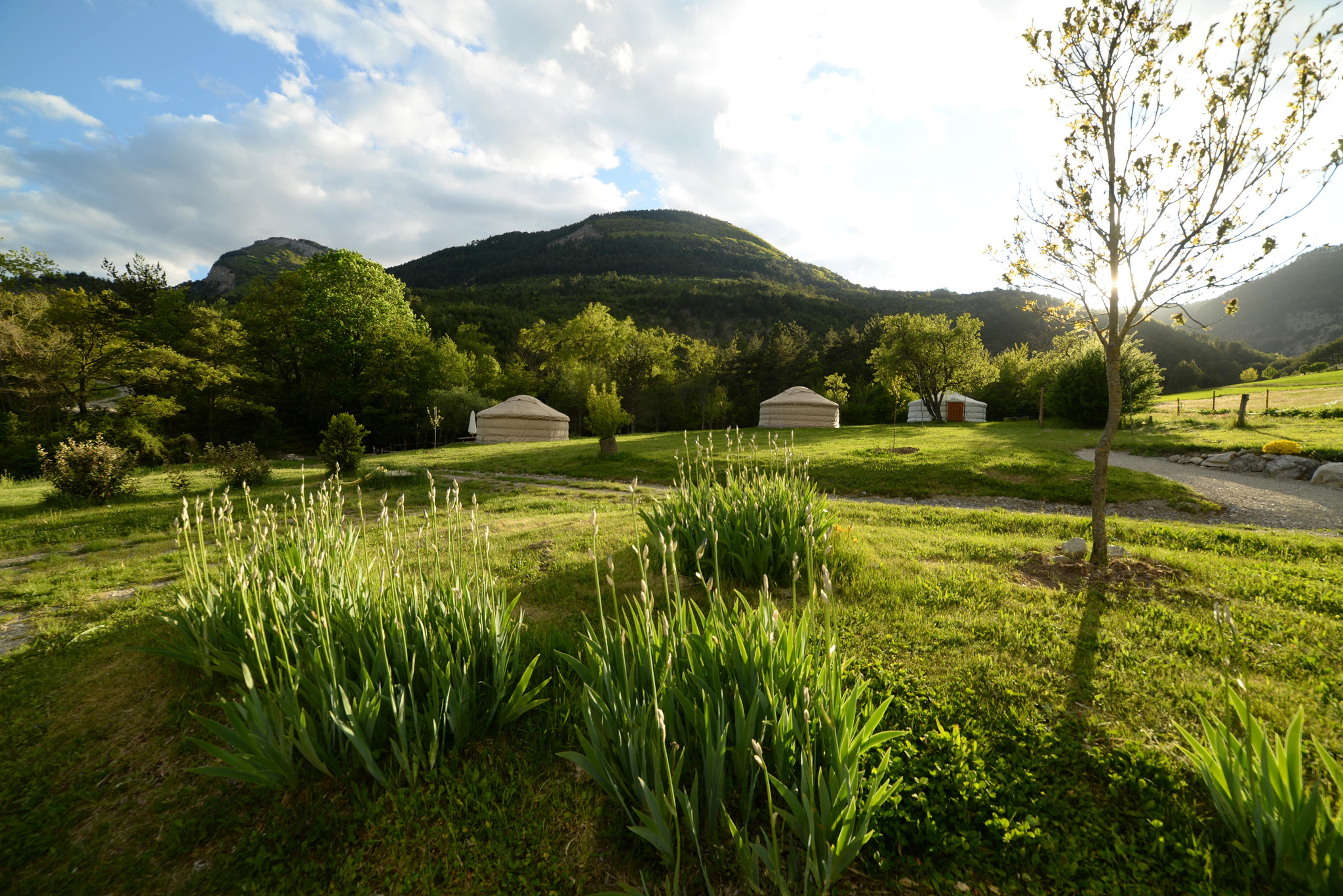 GreenGo La Ferme d'Ausson - Yourtes et chambre d'hôte en pleine nature