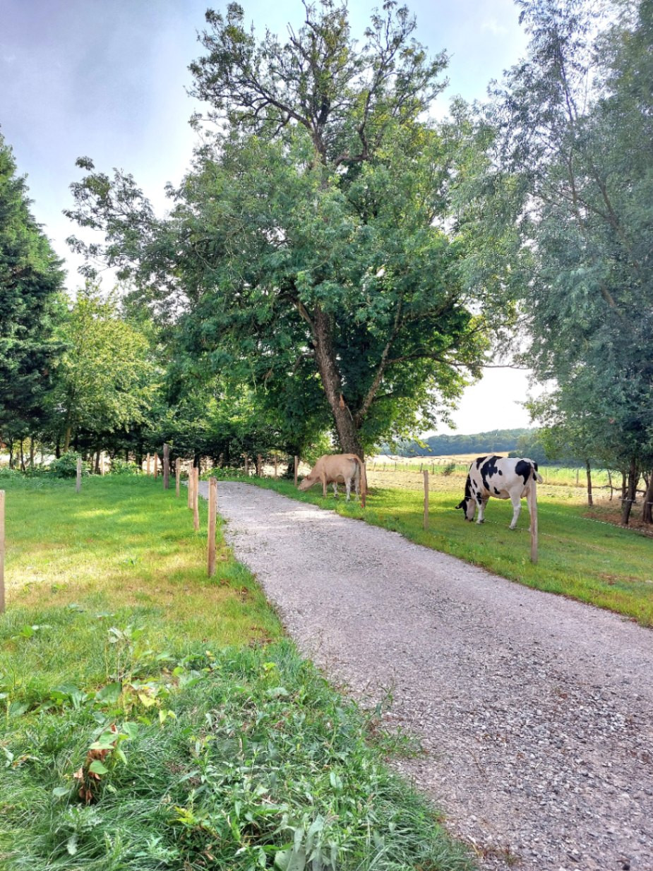 GreenGo location vacances écoresponsables