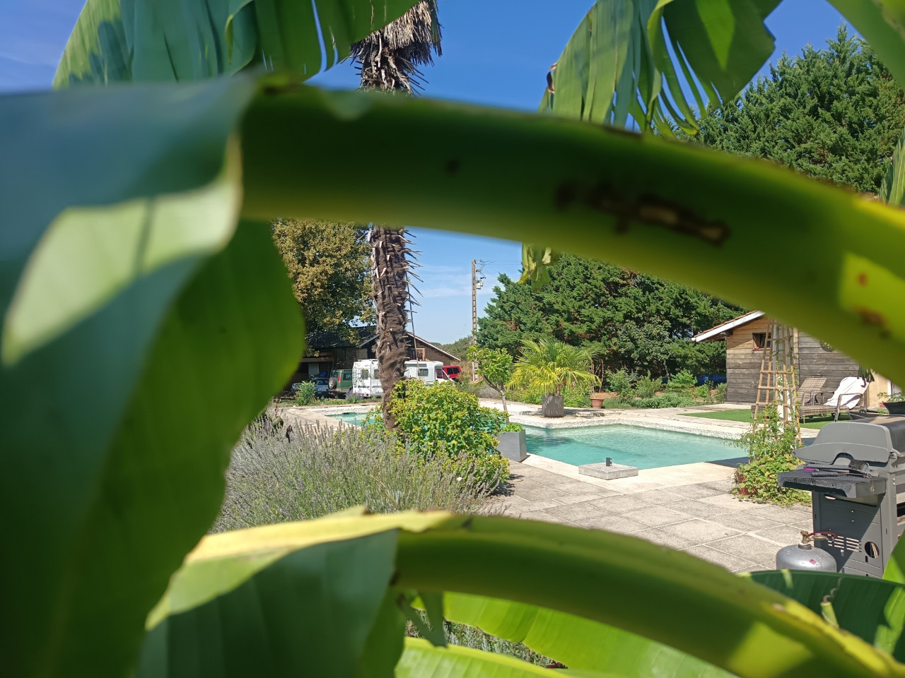 GreenGo Gites Noa, Gers/landes Nature, Piscine, Chevaux