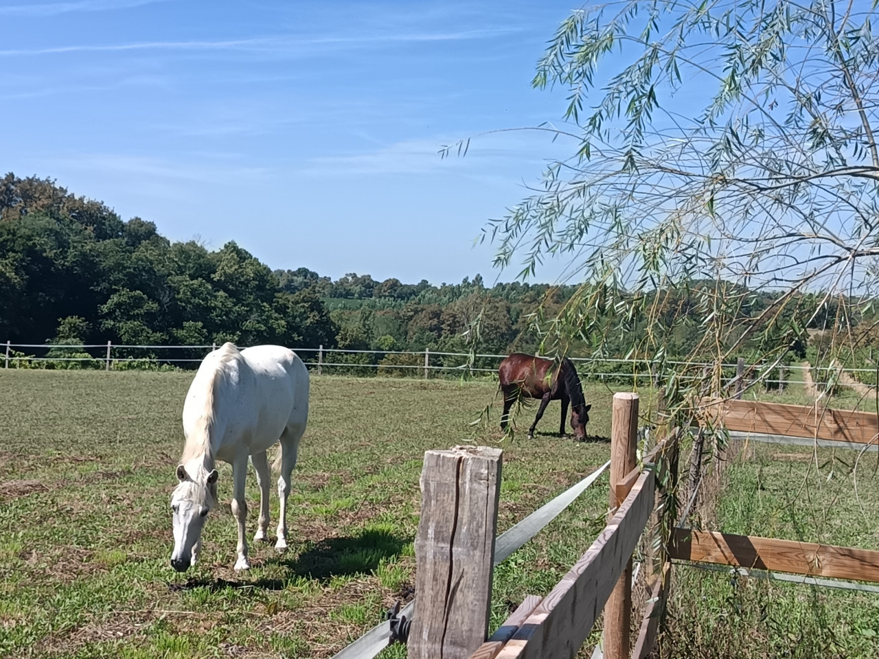 GreenGo location vacances écoresponsables