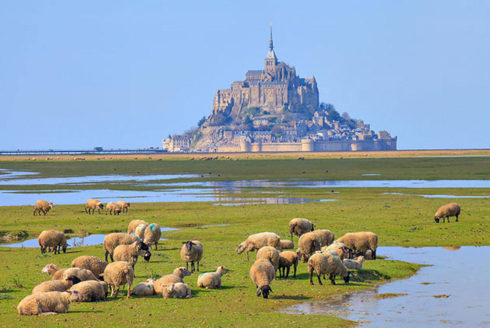 Manche À la campagne