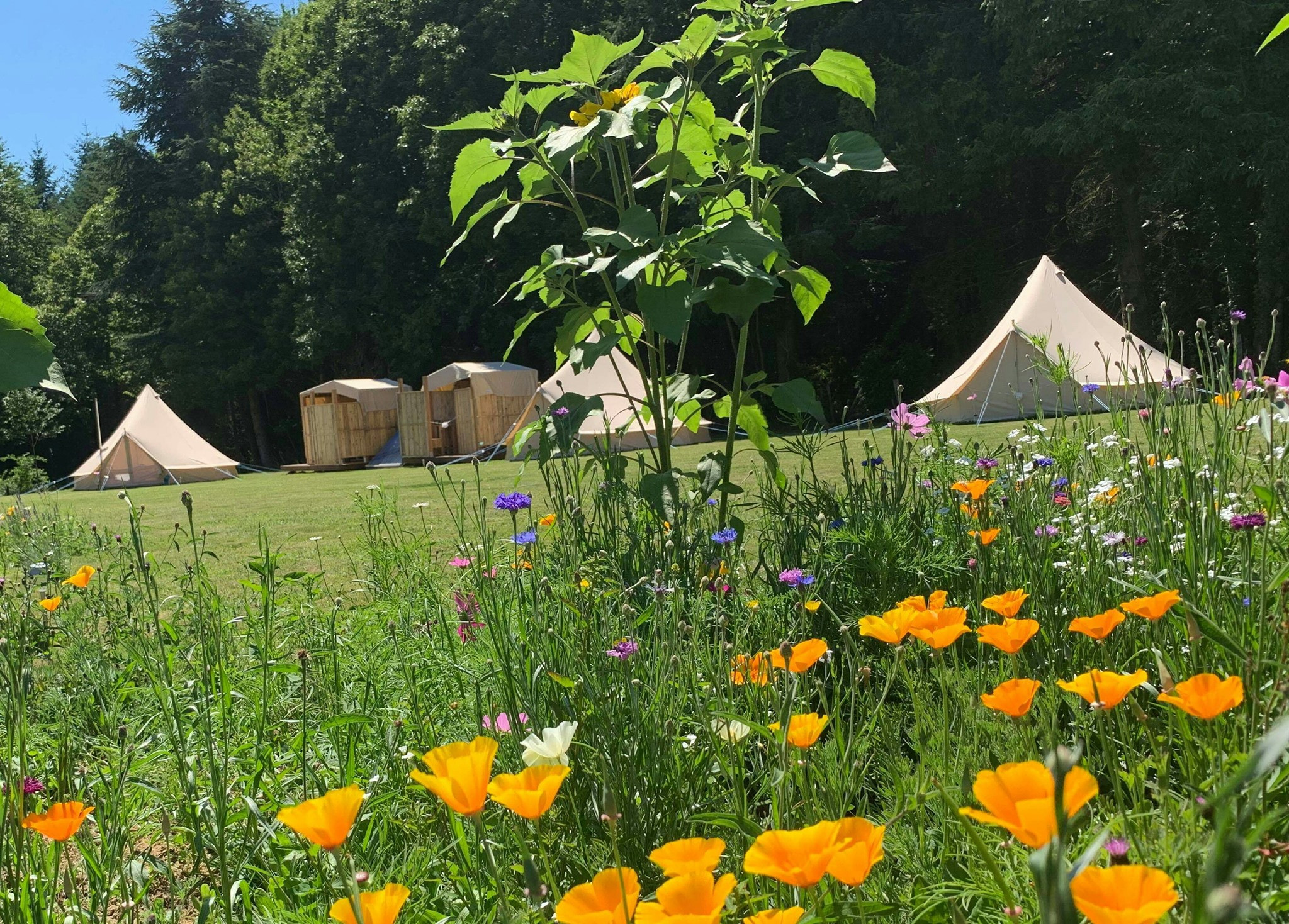 Au Pré Fleuri Eco Glamping