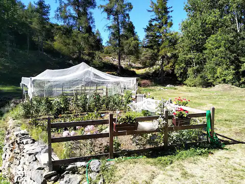  Alpes-de-Haute-Provence En forêt