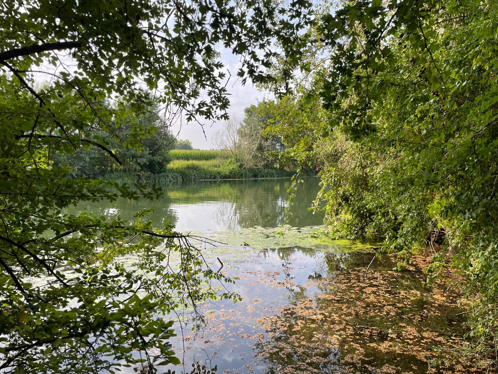 Hôte GreenGo: Domaine de Neuillay
