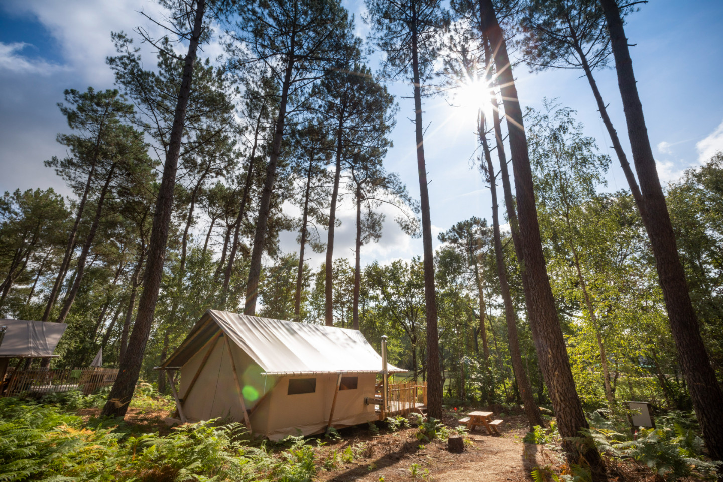 Camping Indre-et-Loire Glamping
