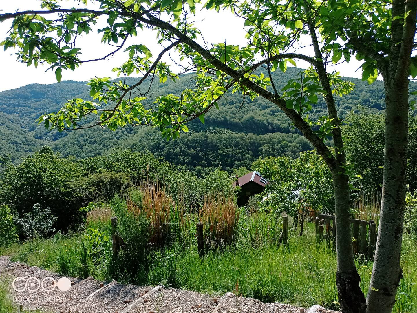 Ferme du Bosc