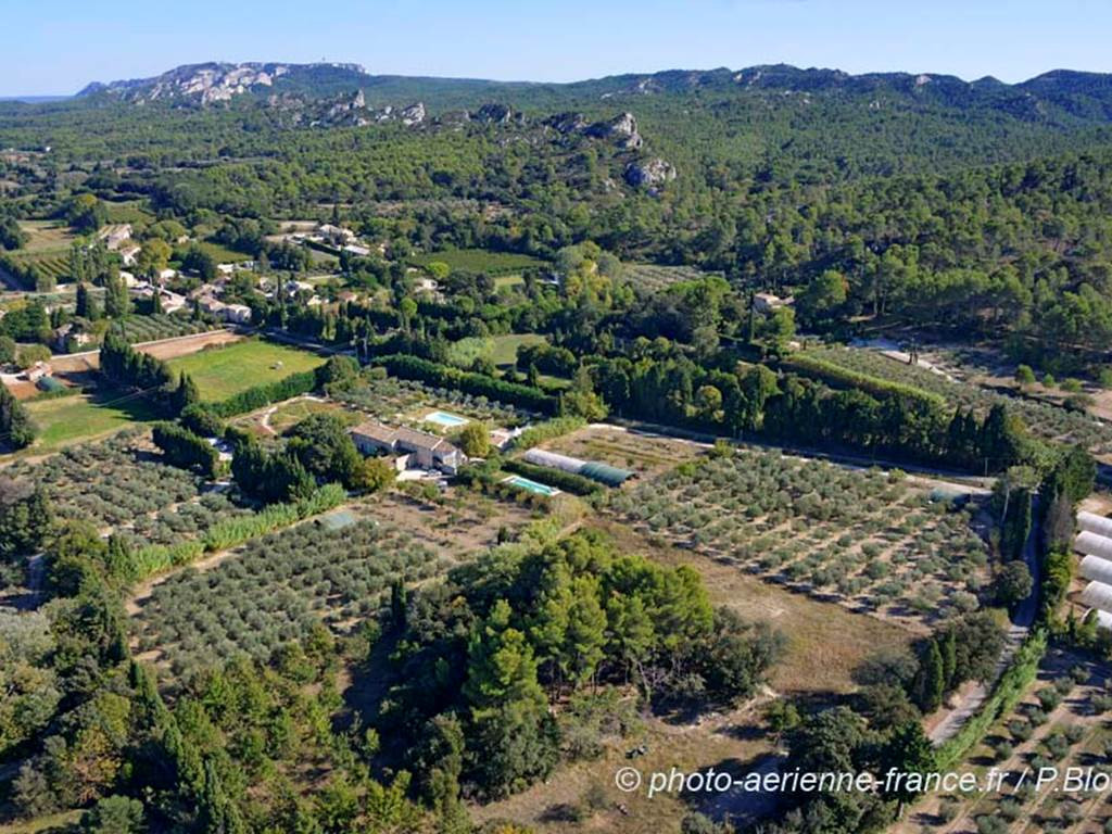 GreenGo Le mas des figues , chez Philippe