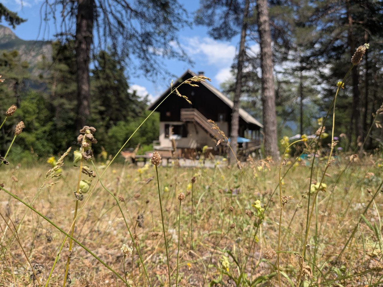 Le gîte les pinées