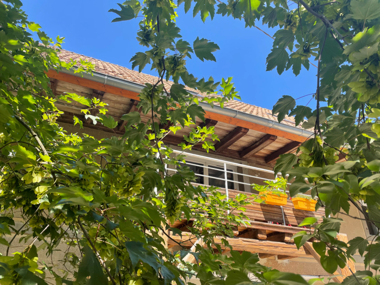 Bas-Rhin Haut-de-gamme