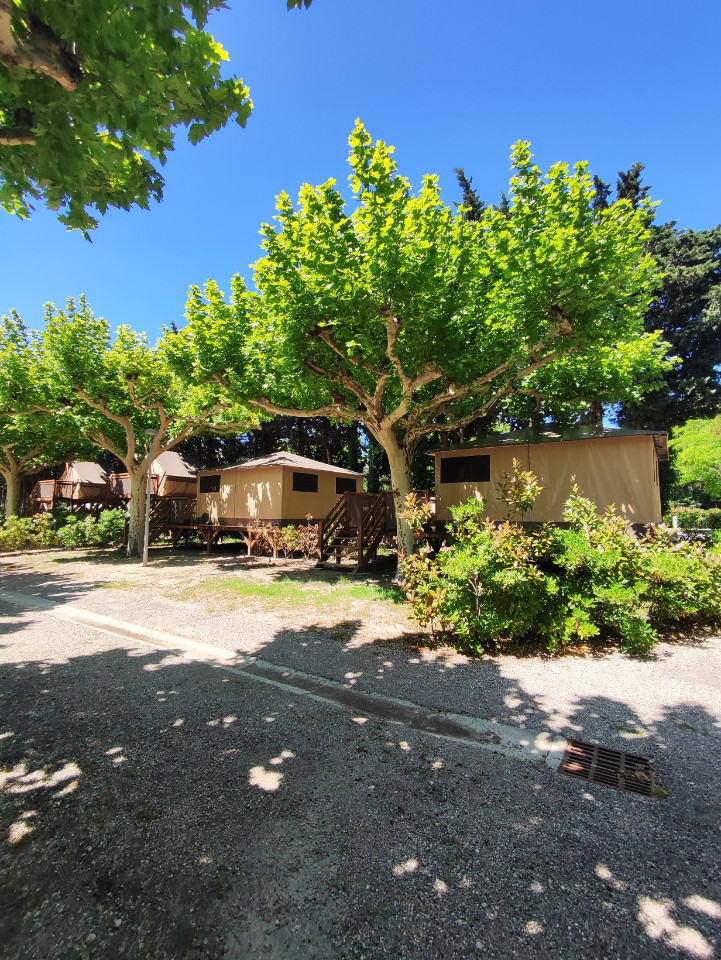 Hôte GreenGo: Camping Porte des Alpilles by M.a Destination Glamping