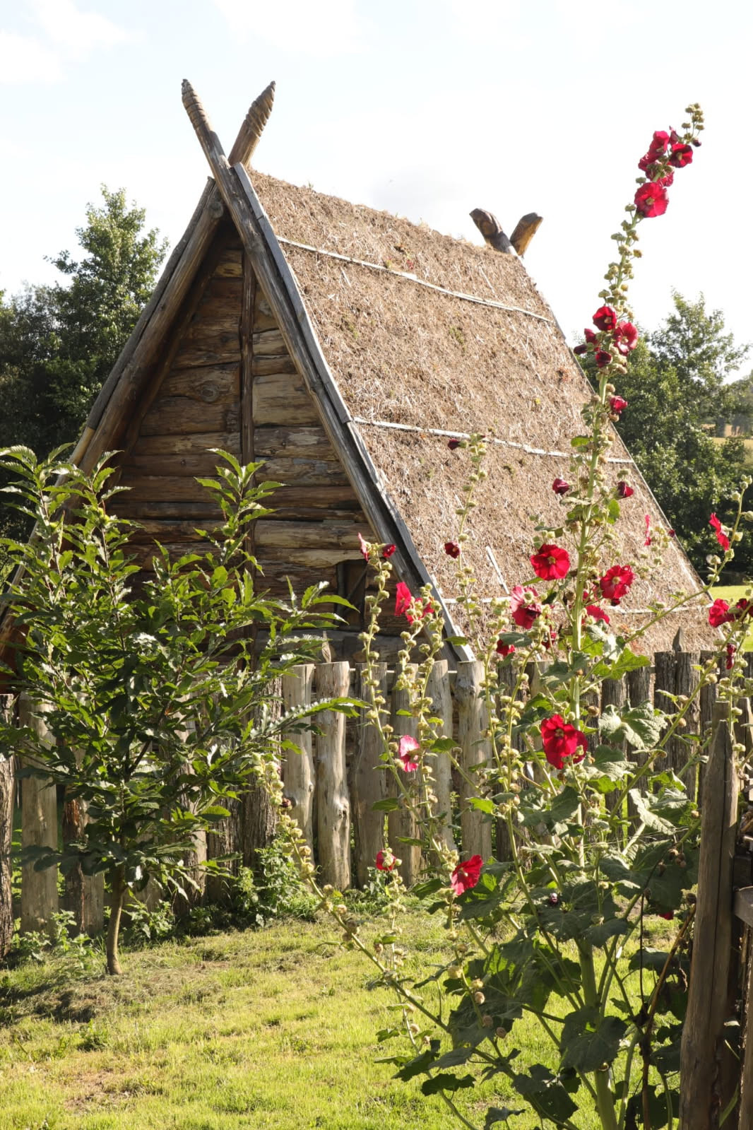 GreenGo Gite a la ferme &couchage viking