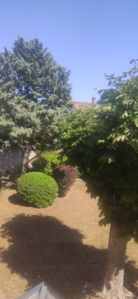 Vienne Romantique